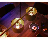 Philips Hue White Inteligentna Żarówka świeczka 2xE14 8719514320628 - 709749 - zdjęcie 6